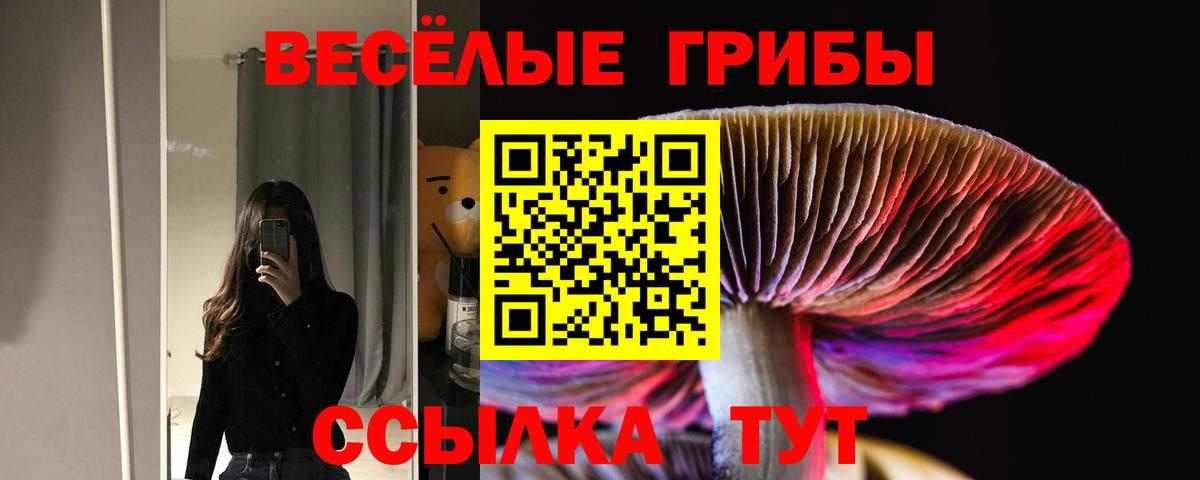 Псилоцибиновые грибы GOLDEN TEACHER Рославль